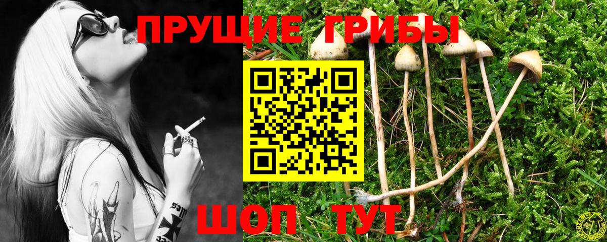 Воскресенск  Галлюциногенные грибы Magic Shrooms  Вход с VPN  Псилоцибиновые грибы Cubensis 